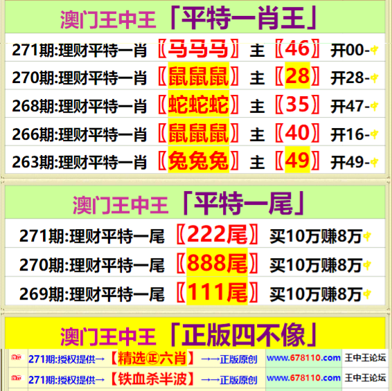 王中王精准资料期期中澳门高手,实地验证策略方案_1080p12.360