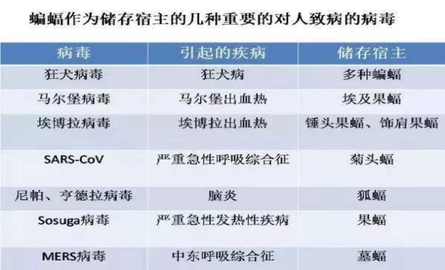 2024年正版资料免费大全功能介绍,权威诠释方法_探索版78.656