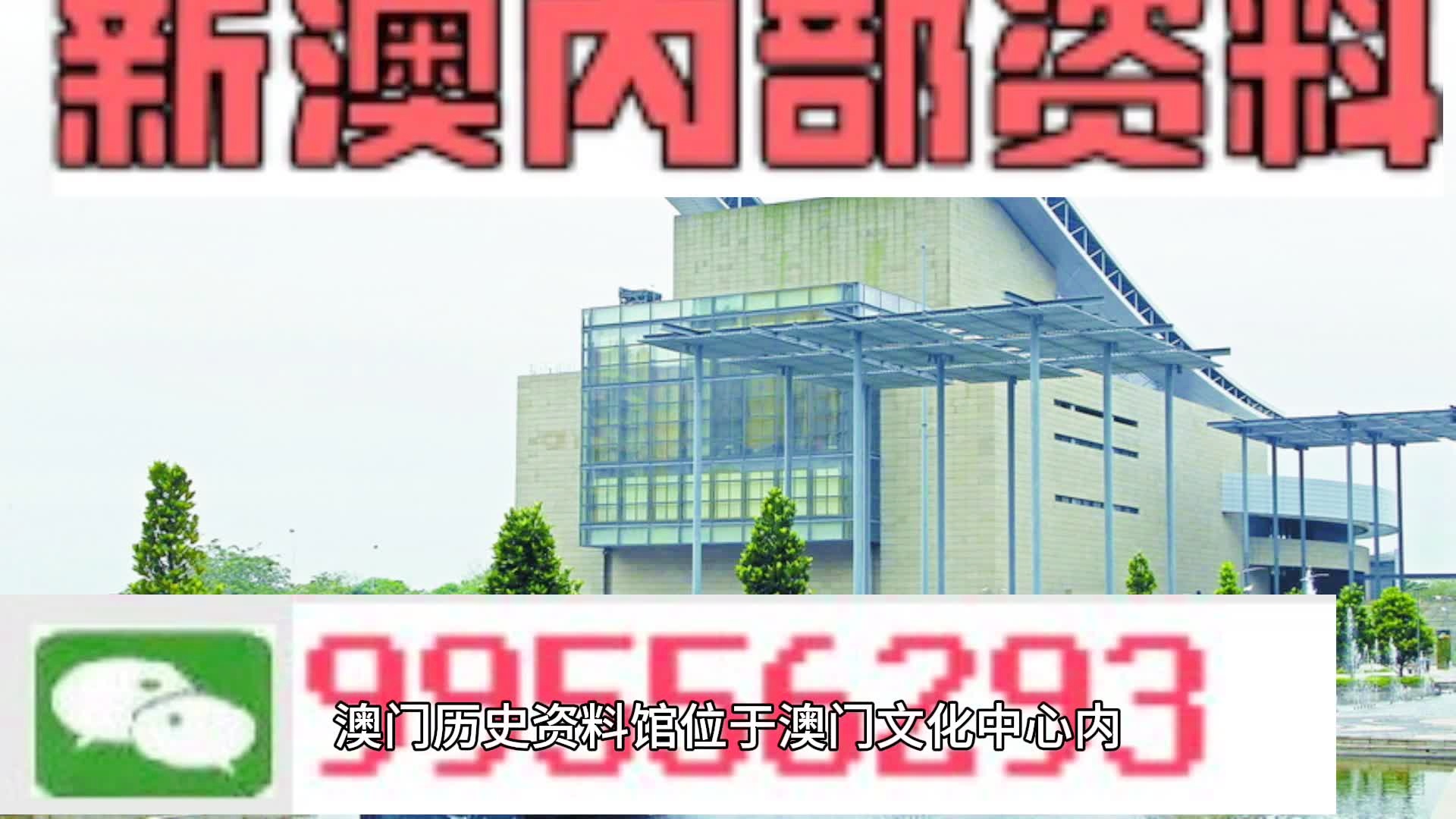 2024新澳精准资料免费提供,澳门内部,深入数据解析策略_限量款40.811