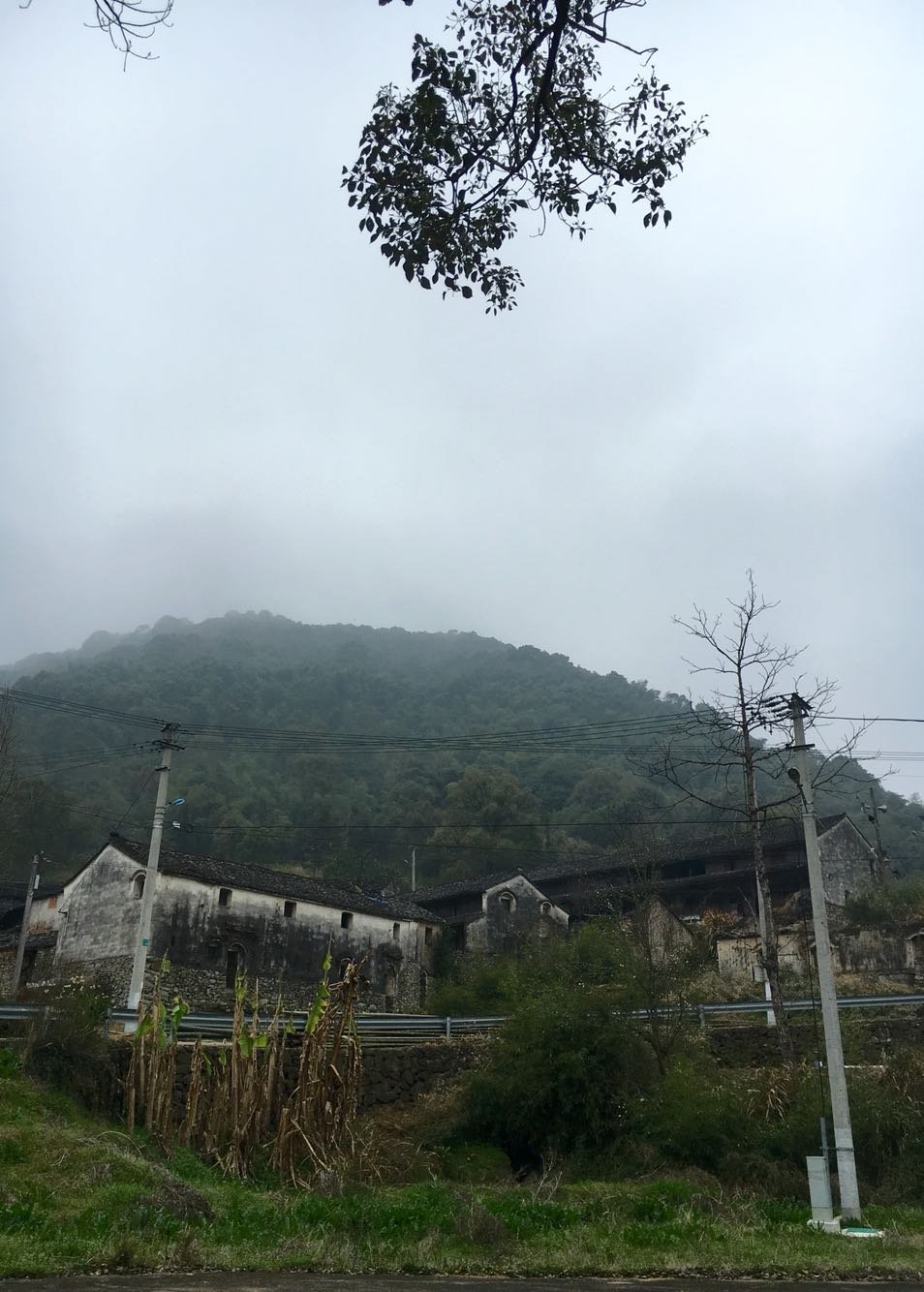 太平桥乡天气预报更新通知